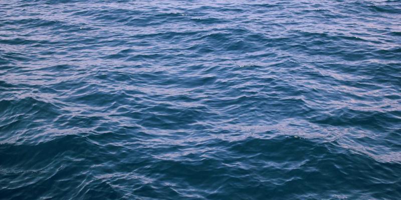 从传统粮仓到智慧枢纽：鲁北粮油仓储物流体系的现代化升级路径探析