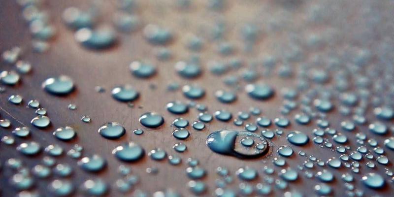 从‘保量’到‘保质增效’：鲁北粮油订单农业2.0如何用大数据重塑粮食交易与农业服务