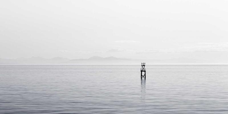 从原料到宝藏：鲁北粮油副产品的深加工革命与循环经济新路径