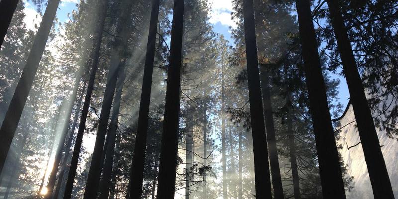 从田间到餐桌的价值跃升：鲁北粮油绿色认证全攻略与市场溢价解码