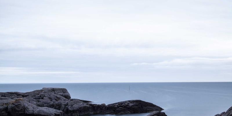 从田间到餐桌的智慧革命：鲁北粮油数字农场如何用物联网、无人机与AI重塑粮食交易与农产品供应链