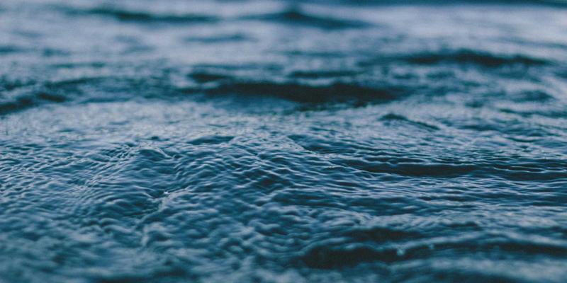 从“粮仓”到“品牌粮仓”：鲁北粮油如何借力产业园与仓储升级，打造强势区域公共品牌