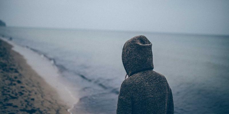 向盐碱地要粮：鲁北盐碱地改良与耐盐碱粮油作物种植的产业新路径