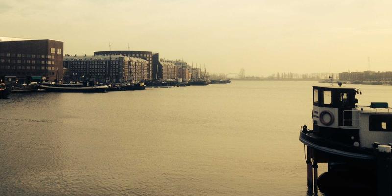 鲁北粮油产业新格局：大豆振兴计划的成效、瓶颈与产业园破局之道