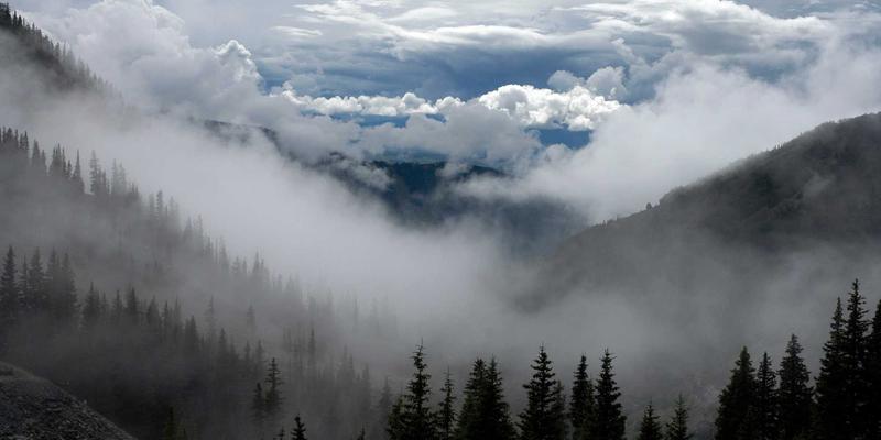 鲁北粮油产后减损全链条解析:从智能收割到智慧仓储的节粮革命