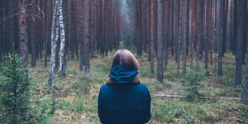 鲁北粮油新格局：从粮食仓储到精深加工，玉米产业链如何破局升级？