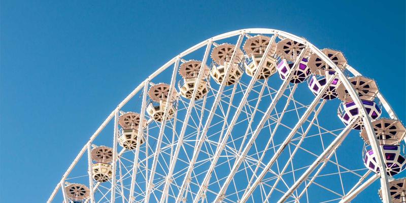 鲁北粮油有机小麦：从绿色种植到产业升级，探索高端粮油新蓝海