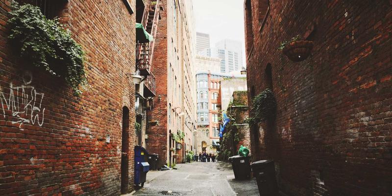 鲁北粮油气候智慧农业：打造韧性生产体系，筑牢极端天气下的粮食安全防线