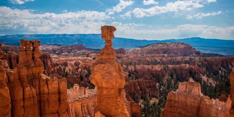 鲁北粮油破局C端：直播带货+社群营销，如何让传统贸易焕发新生机？