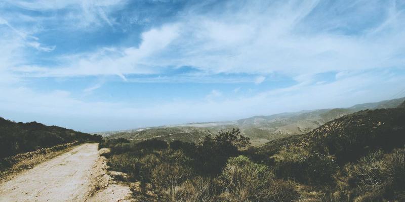 鲁北粮油跨境贸易新蓝海:借力‘一带一路’打通粮食进出口双通道